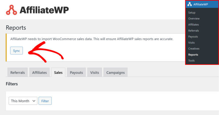 Sync sales data with AffiliateWP Sales report