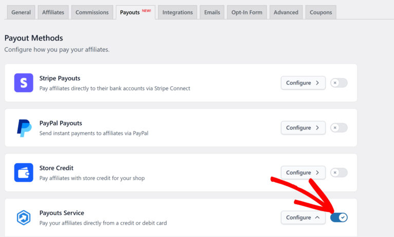 Enable Payouts Service