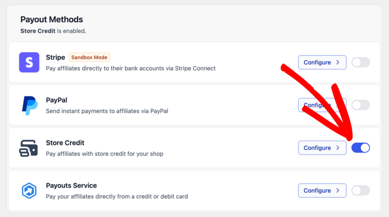 Paying affiliates via Store Credit