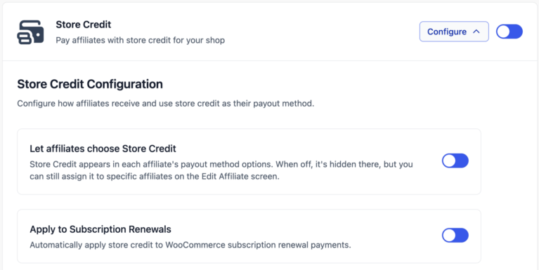 Store credit options