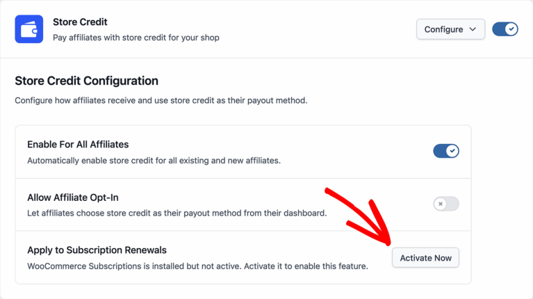 Store Credit for WooCommerce Subscription Renewal