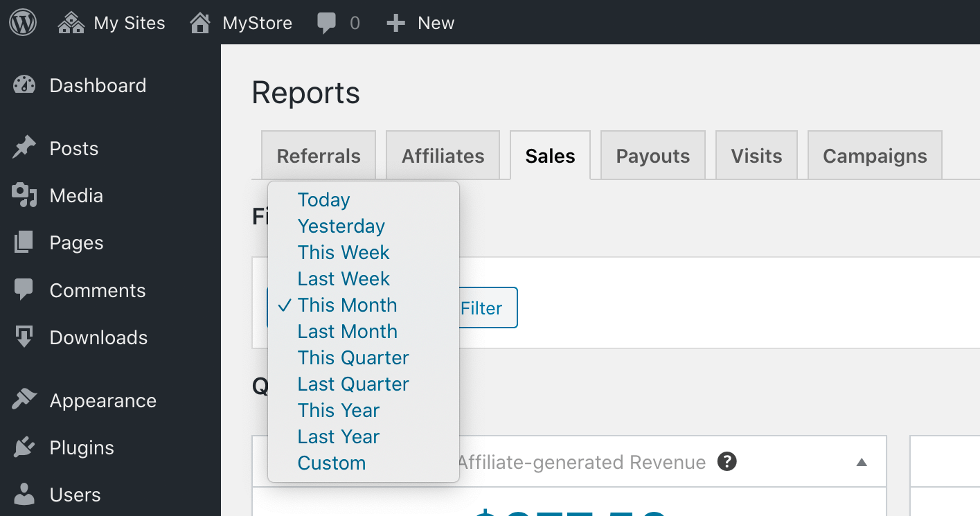 WordPress admin Reports - Filter dropdown showing the filter options