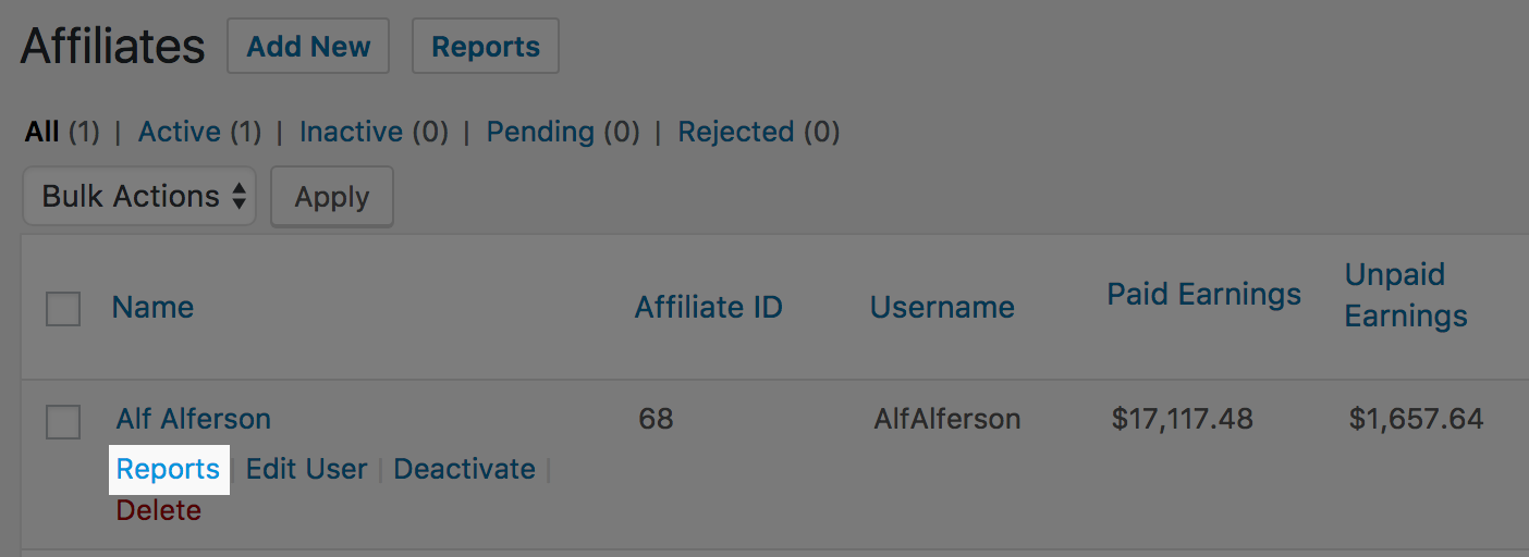 A link to view an individual affiliate report in AffiliateWP.