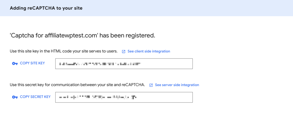 reCAPTCHA v3 keys