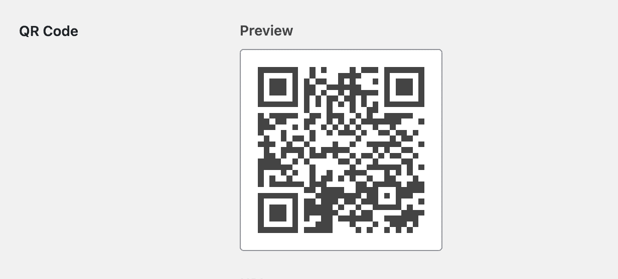 QR Code Preview