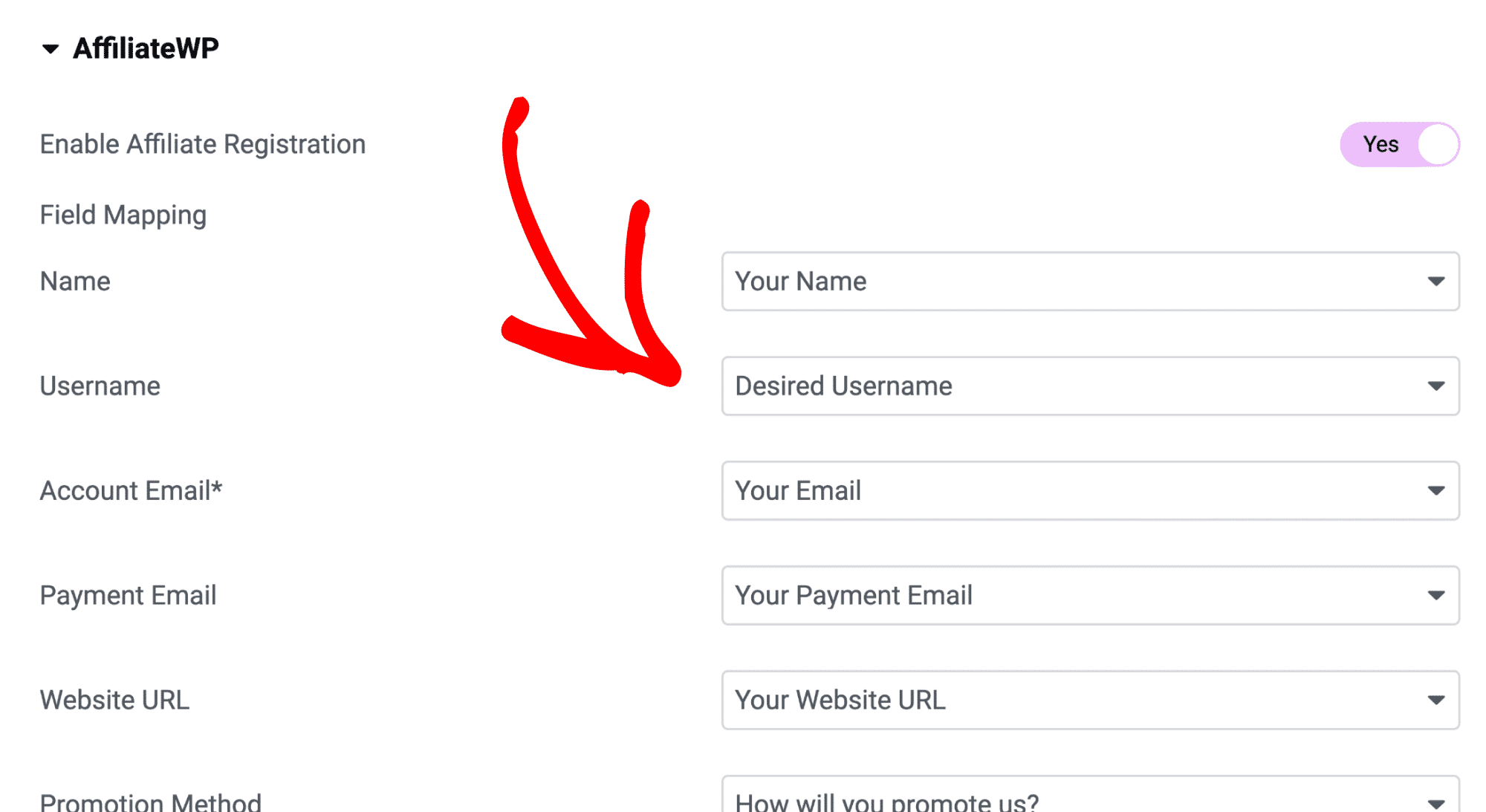 Mapping form fields to AffiliateWP