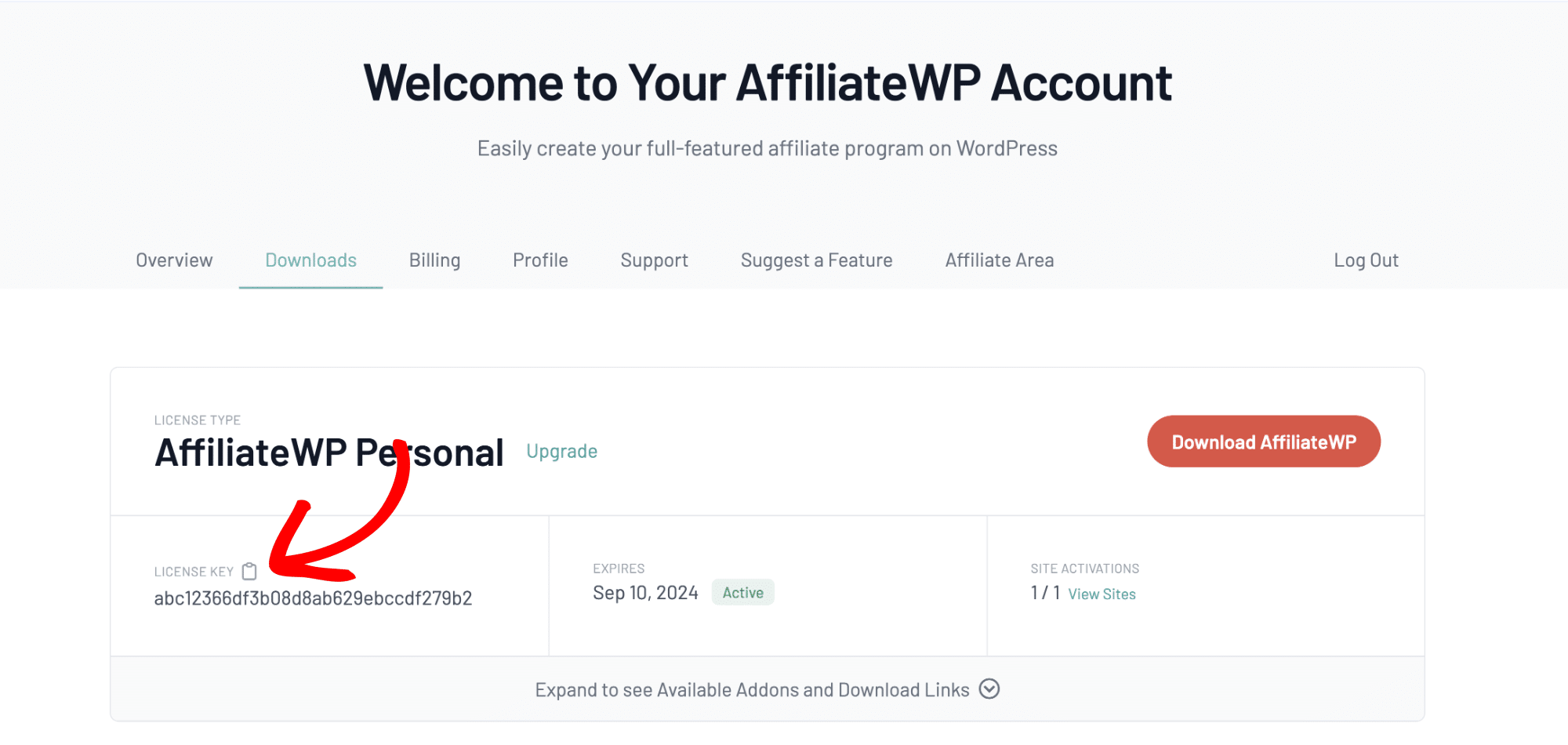 Copying a license key from the AffiliateWP Account page