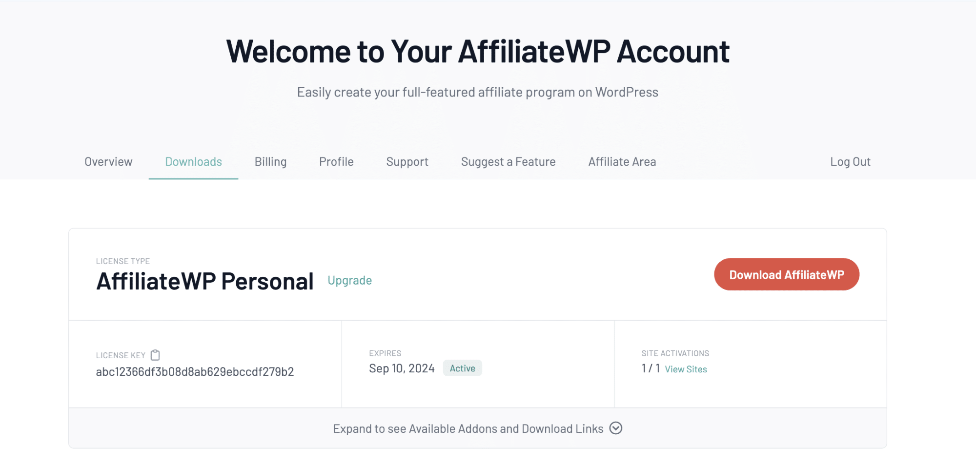 License details on the AffiliateWP account Downloads page