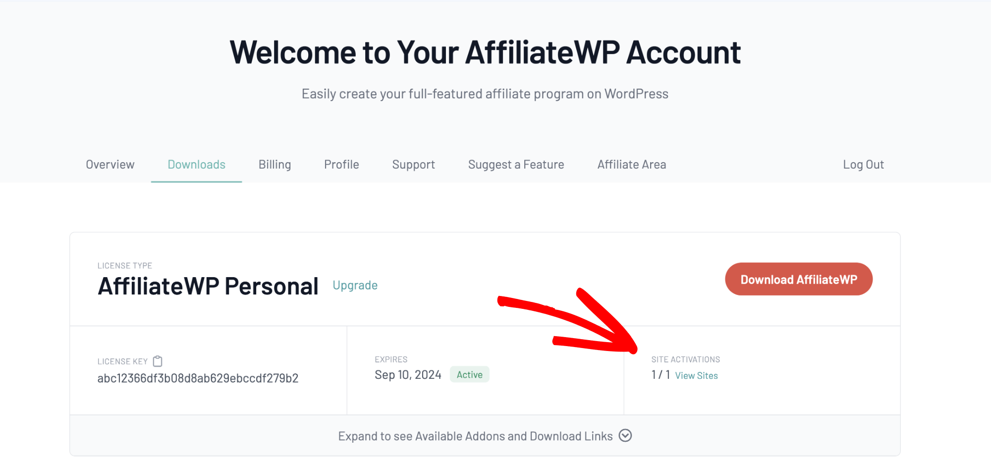 Checking the license site activations on the AffiliateWP account Downloads page