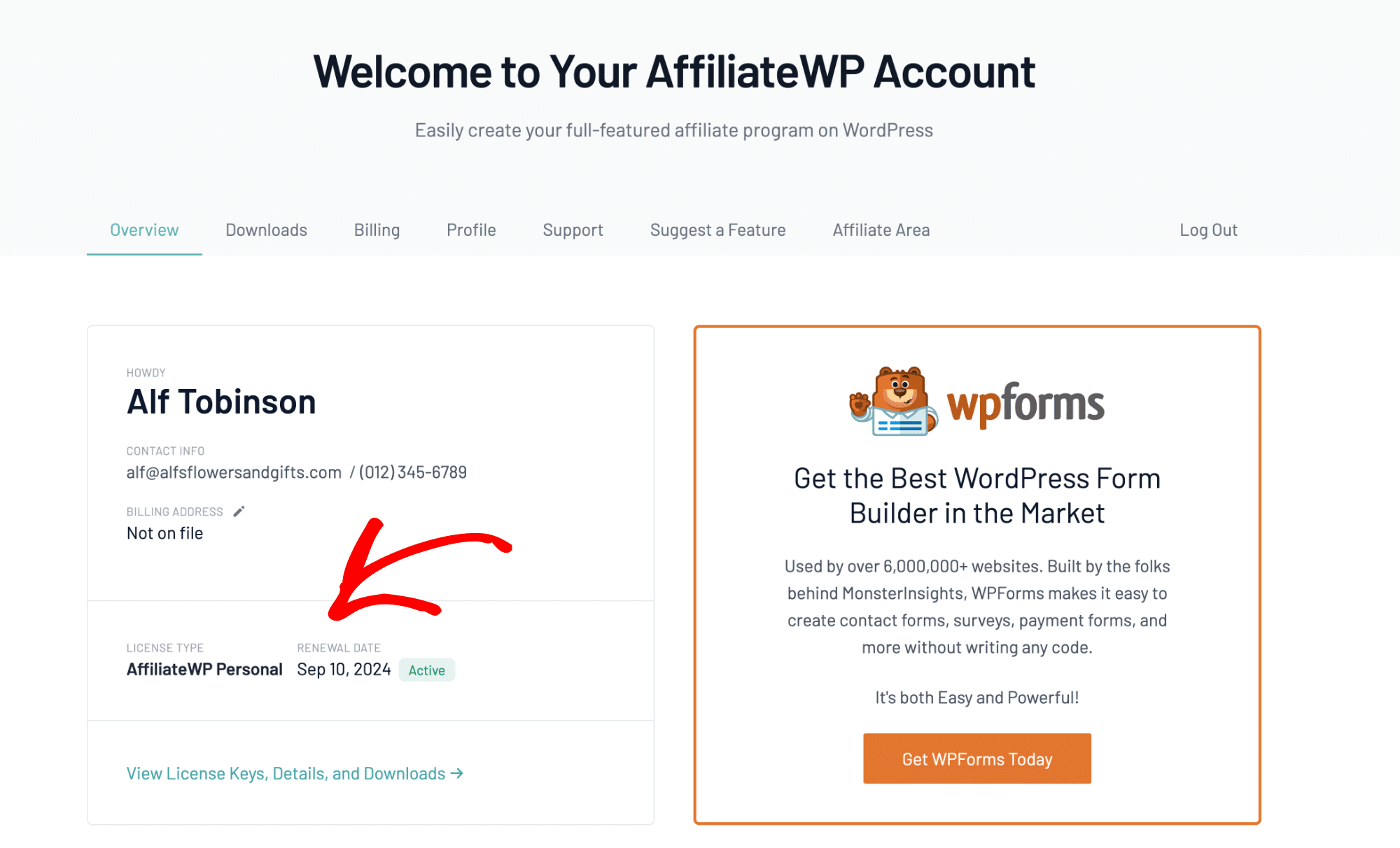 Viewing your license type and renewal date in your AffiliateWP account overview