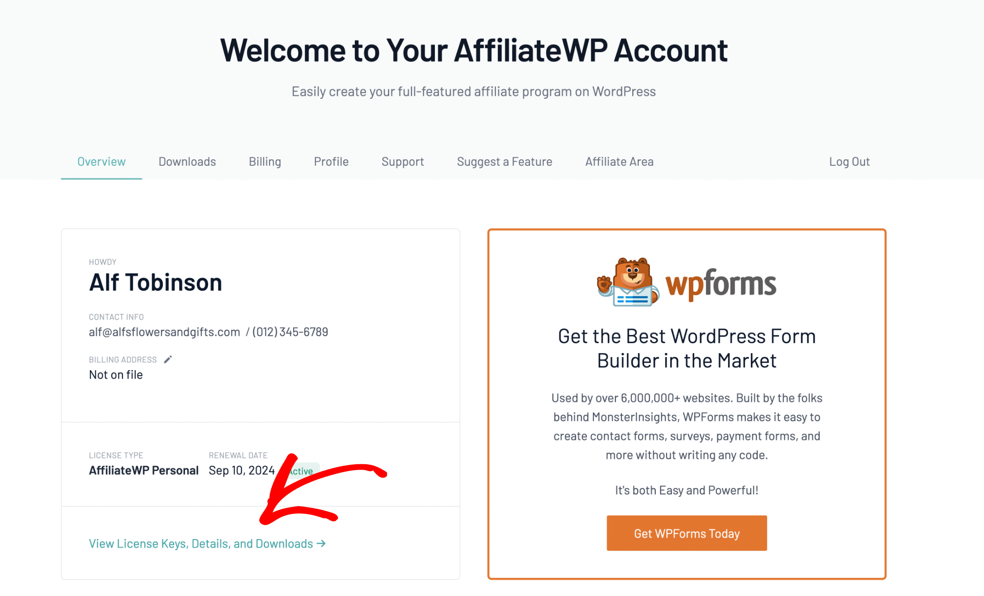 Accessing more license details in your AffiliateWP account