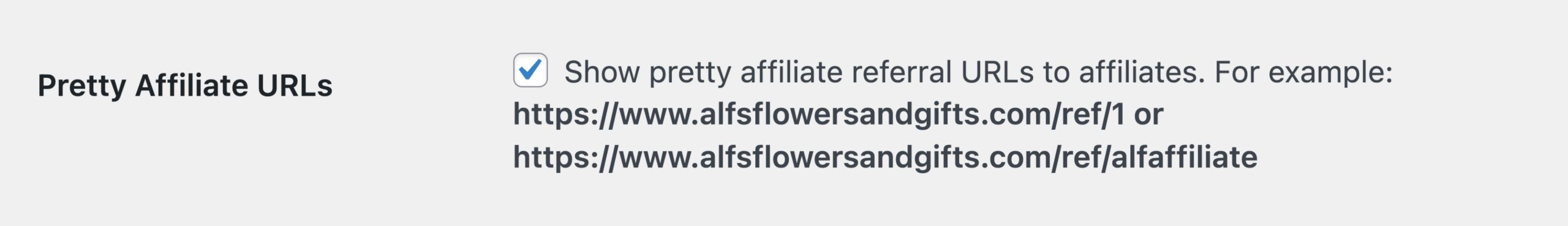 Pretty Affiiliate URL