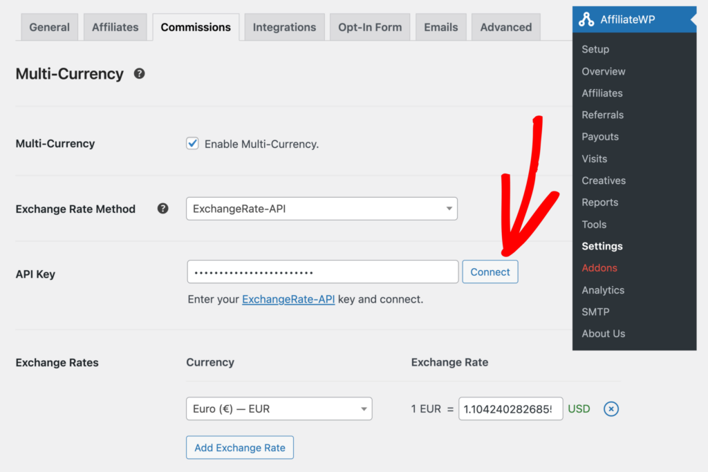 Paste the API key you copied from Exchange Rate API 