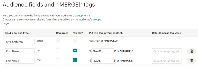 custom fields inside Audience list