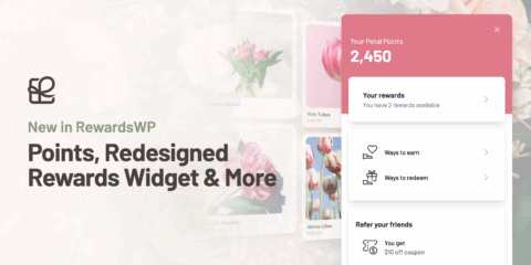 New in RewardsWP: Points, Redesigned Rewards Widget & More
