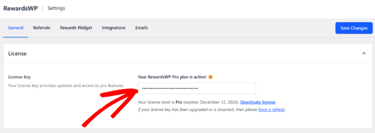 View License Key from Dashboard
