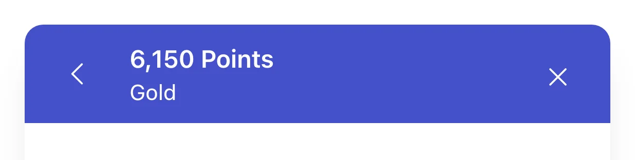 Rewards Widget inner-screen header showing the member's points balance and tier name